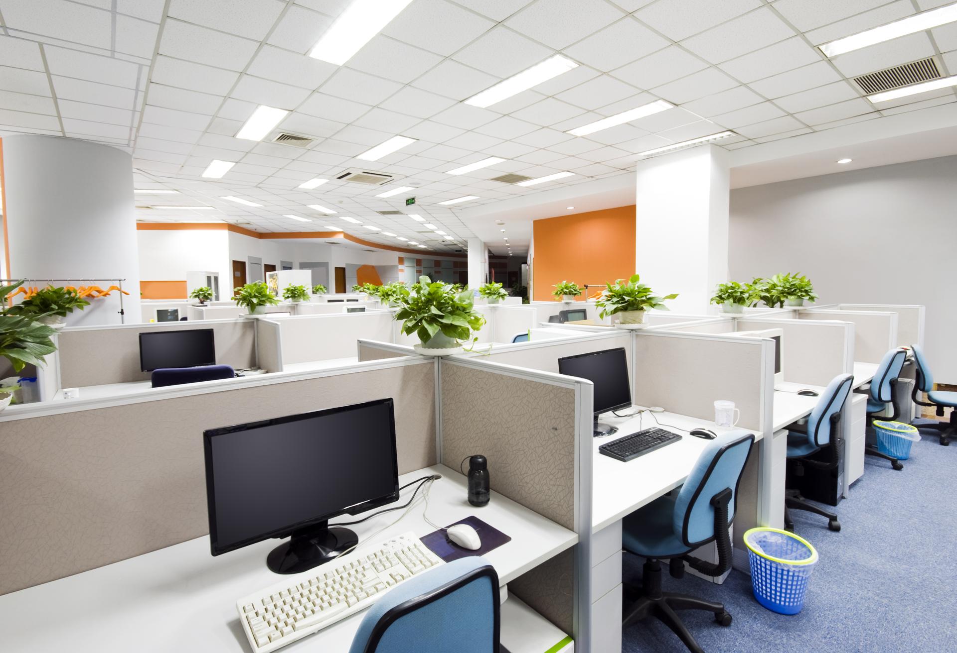 Auckland Commercial Cleaning Commercial Cleaning Services In Auckland